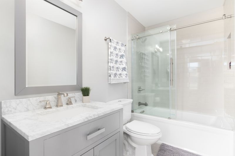Top Tub To Shower Conversion Companies in Citrus Heights, CA