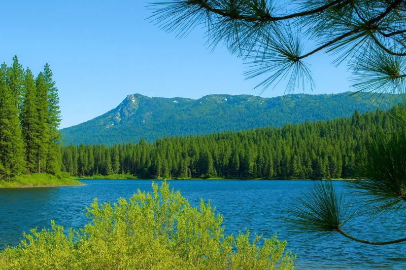 Best Shower Remodeling pros in Antelope, CA